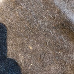 Meet your Posher, Parisa